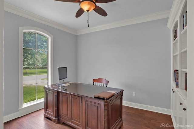 home office featuring dark hardwood / wood-style flooring, crown molding, and a wealth of natural light