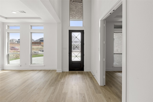 entryway with a tray ceiling, plenty of natural light, and light hardwood / wood-style floors