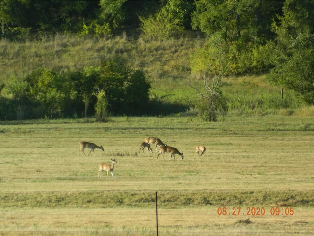 view of nature with a rural view