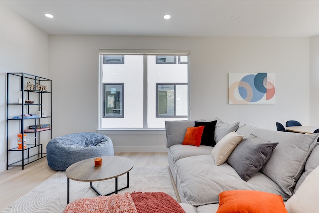 living room with light wood-type flooring