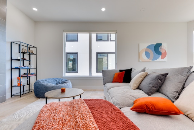 living room featuring light hardwood / wood-style floors