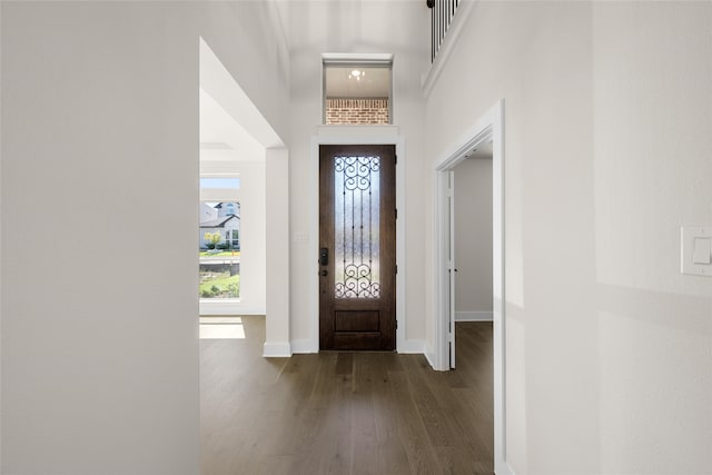 foyer featuring dark wood-type flooring and a towering ceiling