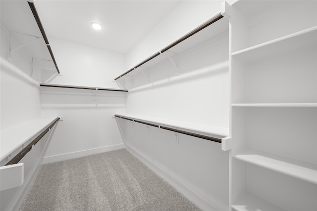 spacious closet with carpet