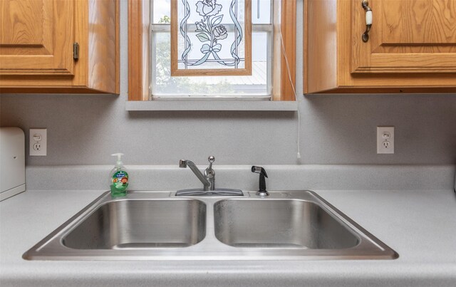 interior details featuring sink