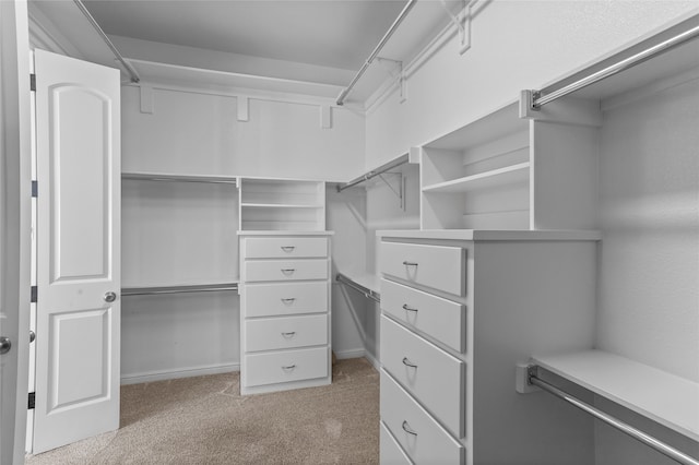 spacious closet featuring light carpet