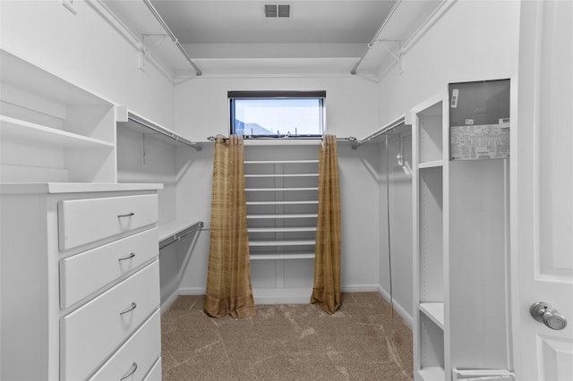 spacious closet featuring carpet floors