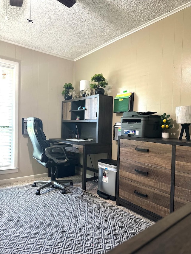 office space featuring crown molding and a textured ceiling