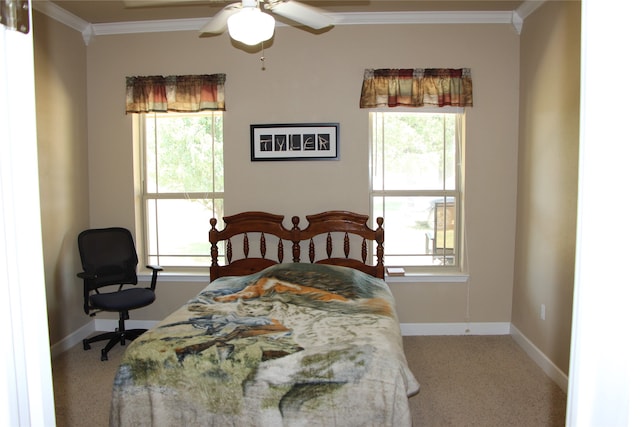 carpeted bedroom featuring ceiling fan, crown molding, and multiple windows