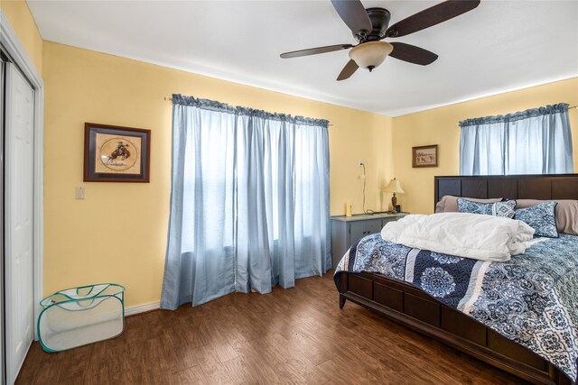 bedroom featuring dark hardwood / wood-style floors, a closet, and ceiling fan