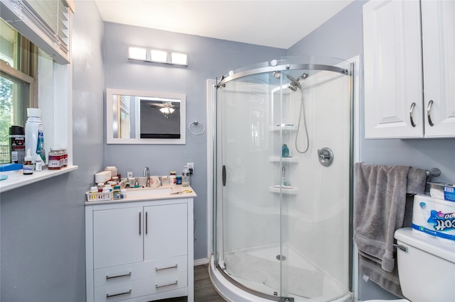 bathroom featuring wood-type flooring, a shower with door, vanity, and toilet