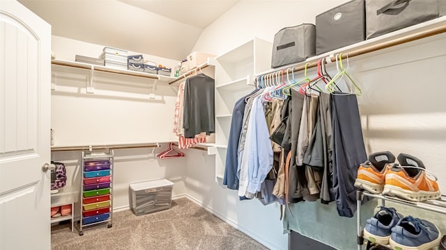 spacious closet featuring carpet