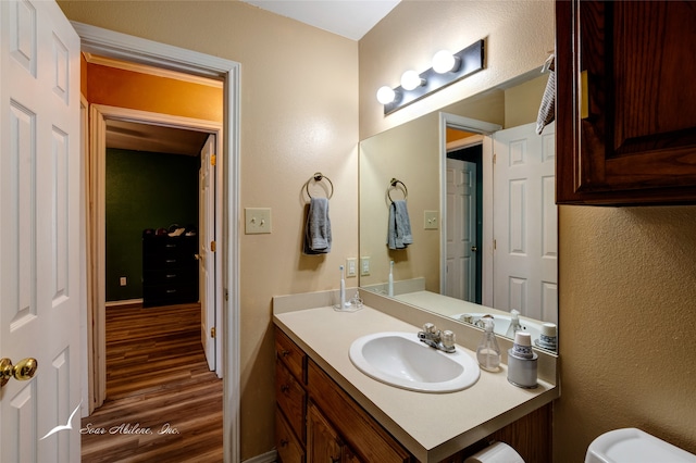 bathroom with vanity and wood-type flooring