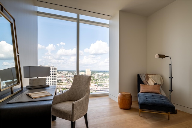 office with light hardwood / wood-style flooring and floor to ceiling windows