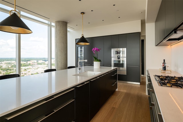 kitchen with decorative light fixtures, floor to ceiling windows, stainless steel appliances, sink, and hardwood / wood-style flooring