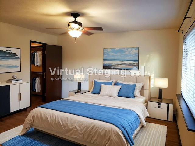 bedroom featuring a spacious closet, a closet, dark hardwood / wood-style flooring, and ceiling fan