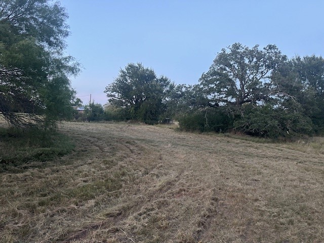 view of local wilderness featuring a rural view