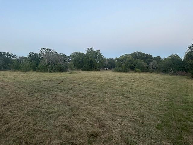 view of local wilderness featuring a rural view