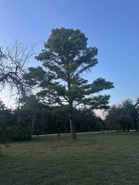 view of yard at dusk