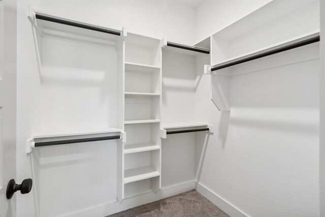 walk in closet featuring carpet flooring