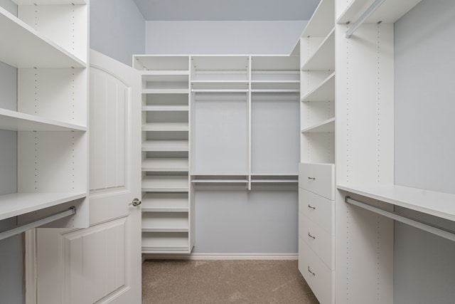 walk in closet featuring dark colored carpet