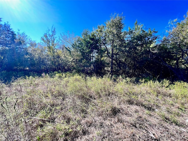 Listing photo 2 for LOT15R-2 Hout Bay Rd, Streetman TX 75859