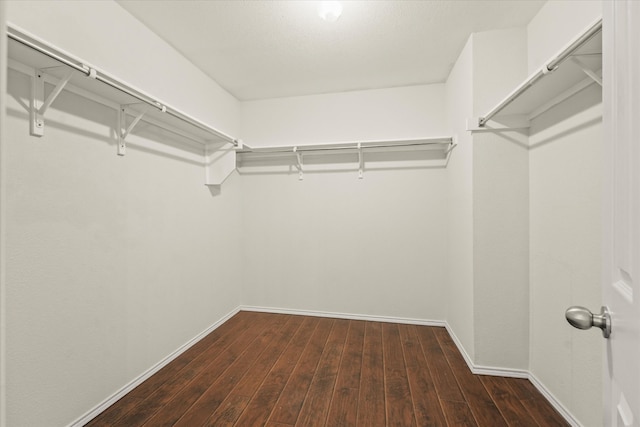 walk in closet featuring hardwood / wood-style floors