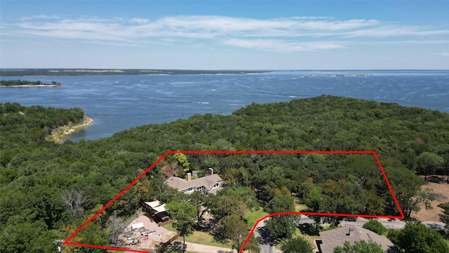 birds eye view of property with a water view and a forest view