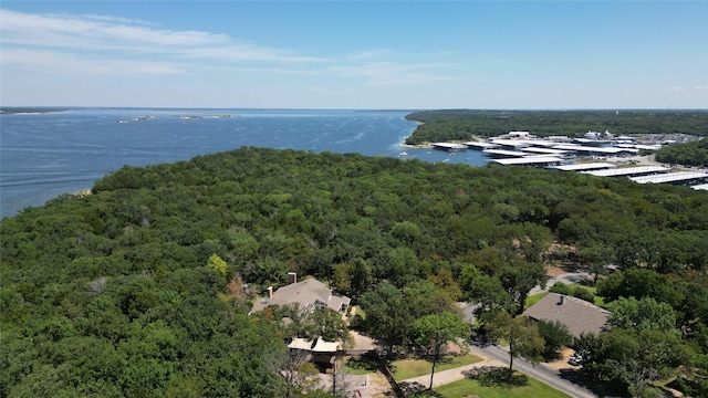 drone / aerial view featuring a water view and a forest view