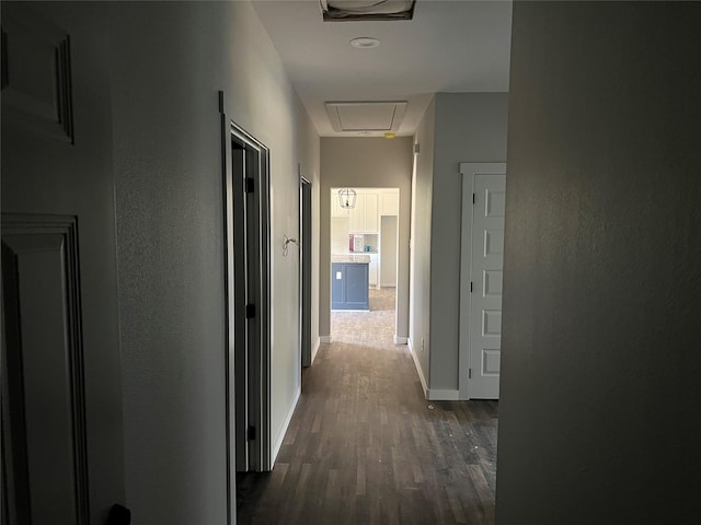 hall with dark hardwood / wood-style floors