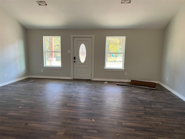 entryway featuring dark hardwood / wood-style flooring