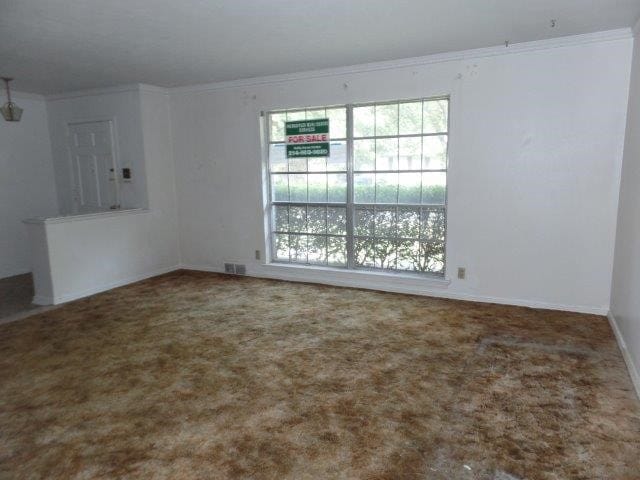 carpeted empty room with crown molding and plenty of natural light