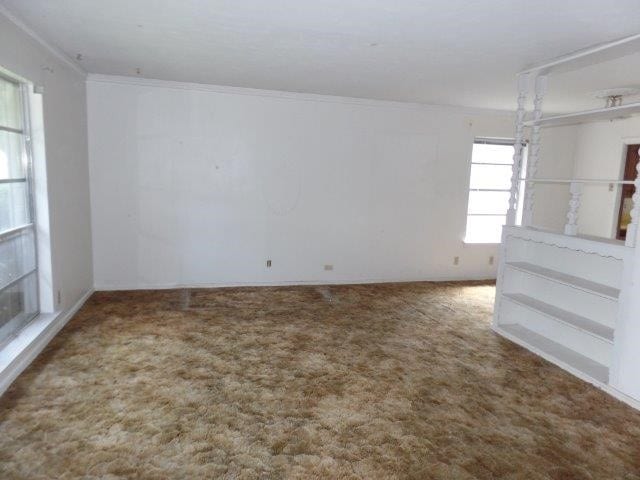 carpeted empty room with ornamental molding