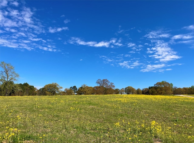 Listing photo 3 for LOT49 White Oak, Big Sandy TX 75755