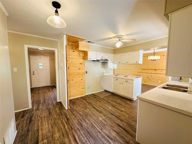 kitchen featuring sink, decorative light fixtures, white cabinetry, and dark hardwood / wood-style floors