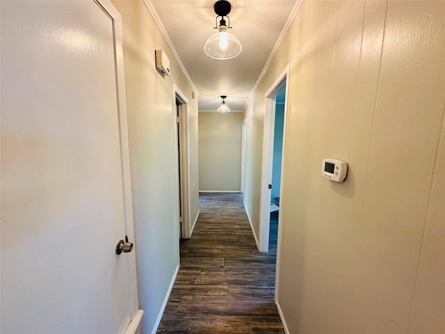 hallway with crown molding and dark wood-type flooring