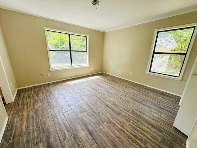 spare room featuring dark hardwood / wood-style floors, crown molding, and plenty of natural light