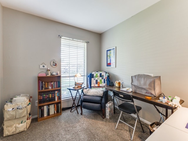 home office with carpet floors