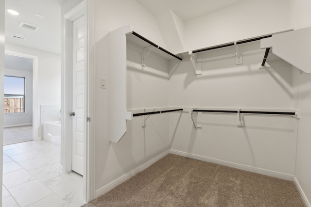 view of spacious closet