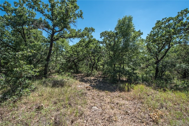 E48 Arts Way, Gordon TX, 76453 land for sale