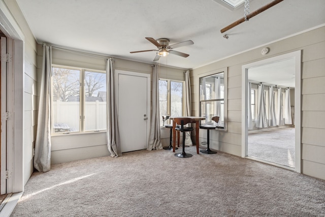 empty room featuring ceiling fan, ornamental molding, and carpet flooring