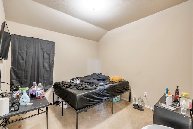 bedroom with lofted ceiling, a textured ceiling, and carpet floors