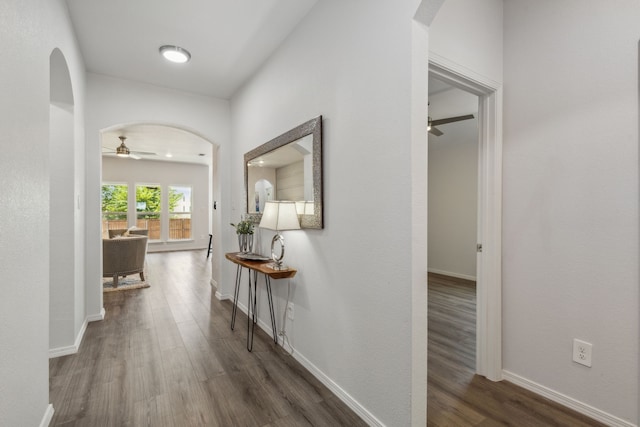 hall featuring dark wood-type flooring