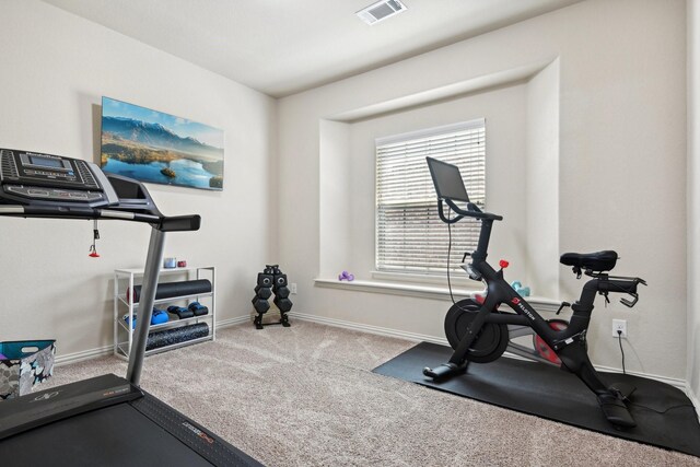 exercise area featuring carpet