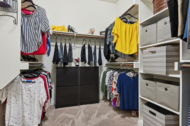 walk in closet featuring carpet floors