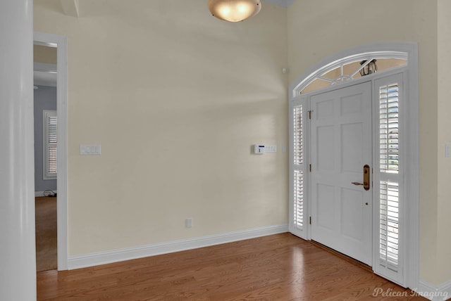 entryway with wood-type flooring