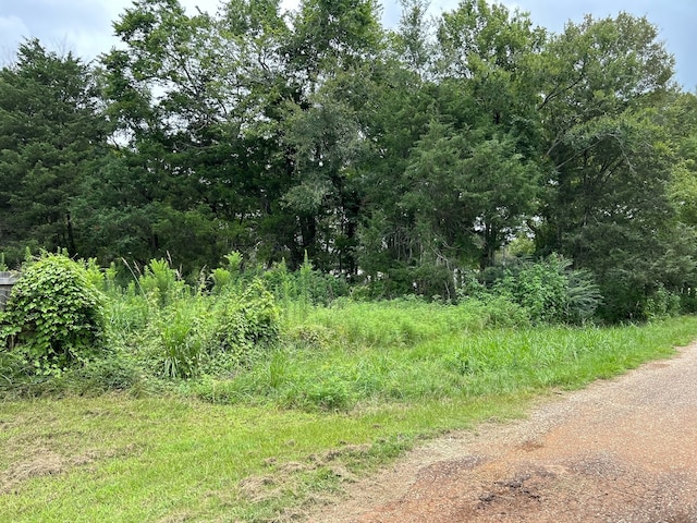 415 San Saba St, Bullard TX, 75757 land for sale