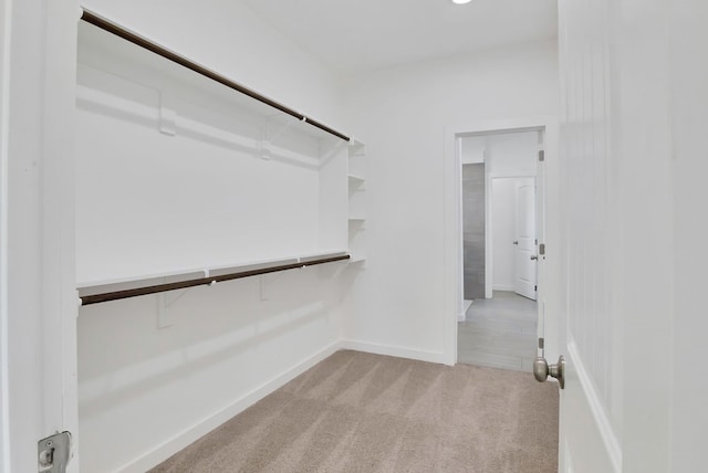 walk in closet featuring light colored carpet