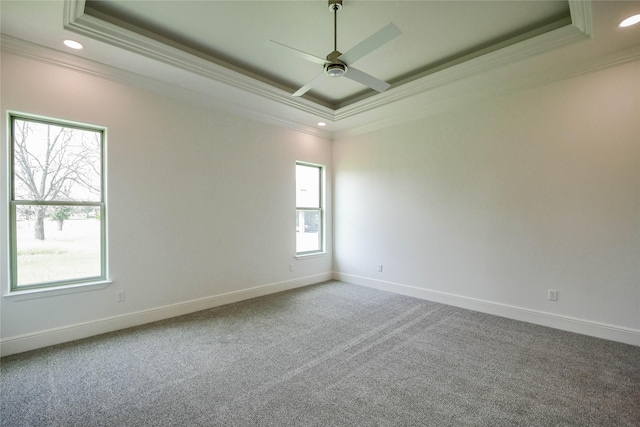 carpeted spare room with a raised ceiling, crown molding, and a wealth of natural light