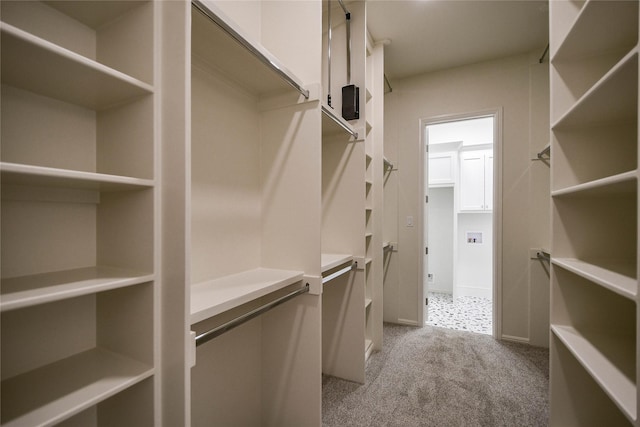 walk in closet with light colored carpet