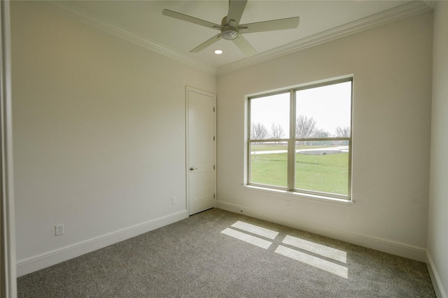 carpeted spare room with ornamental molding and ceiling fan